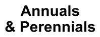 Annuals & Perennials